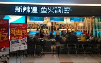 新辣道鱼火锅加盟费用及流程详解 开启您的餐饮创业之路